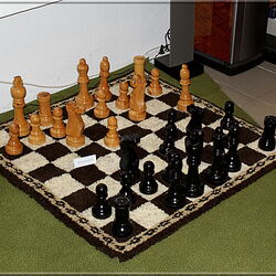 Chess Exhibition in Haltern am See