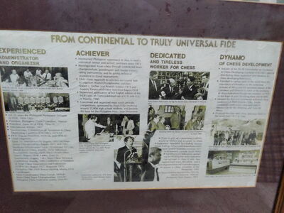 Campomanes Gallery II: The election campaign 1980-1981