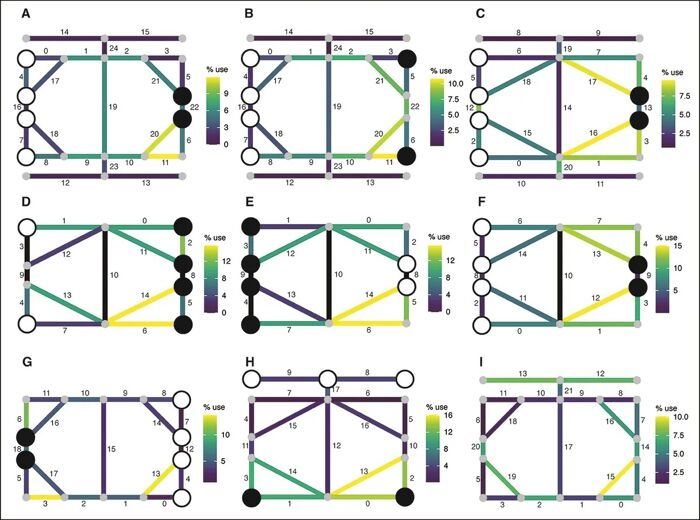 The results of surface scans reveal patterns of use.