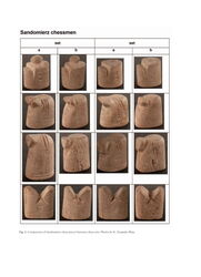 The Cultural Role of Chess in Medieval and Modern Times - page 85