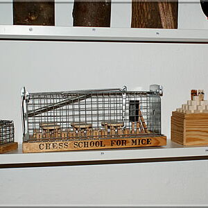 Chess school for mice housed in a large mouse trap