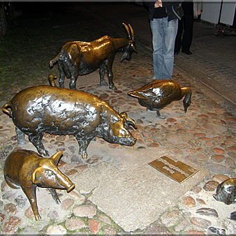 Different market animals on the street