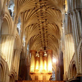 cathedral_05.jpg