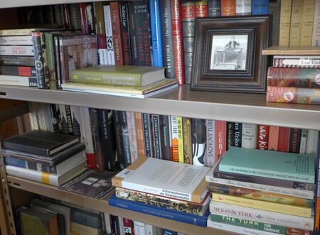 Something about the Chess Automaton