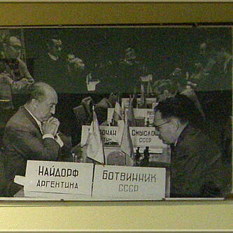 Najdorf - Botwinnik