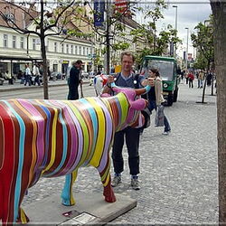 chess journeys by Jurgen Stigter