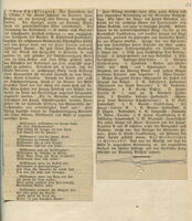 Newspaper article 2