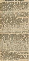 Zeitungsartikel 3