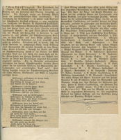 Zeitungsartikel 2